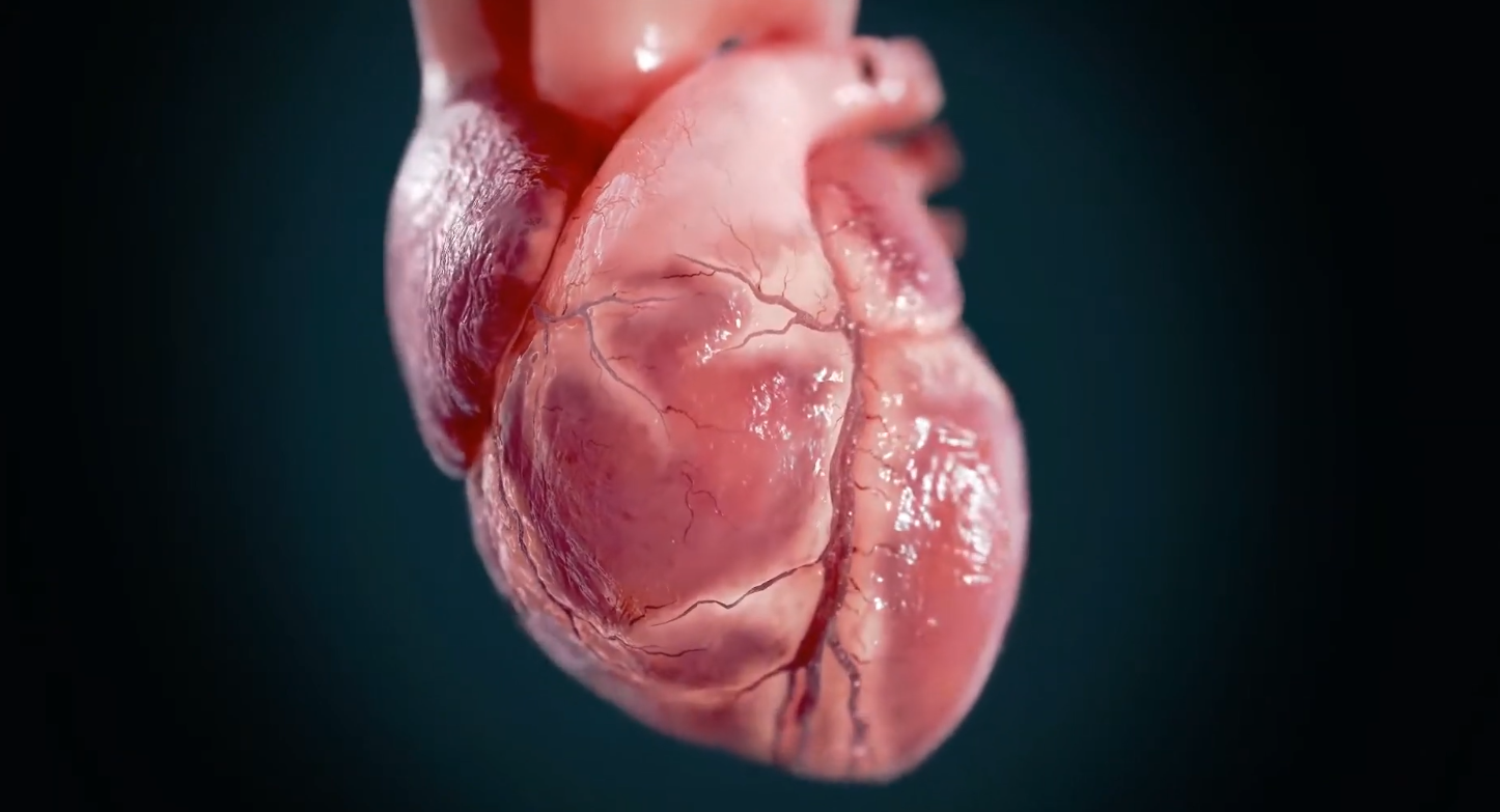 Medical Device Animation